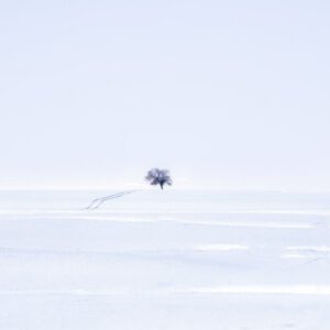 Discovery Islands